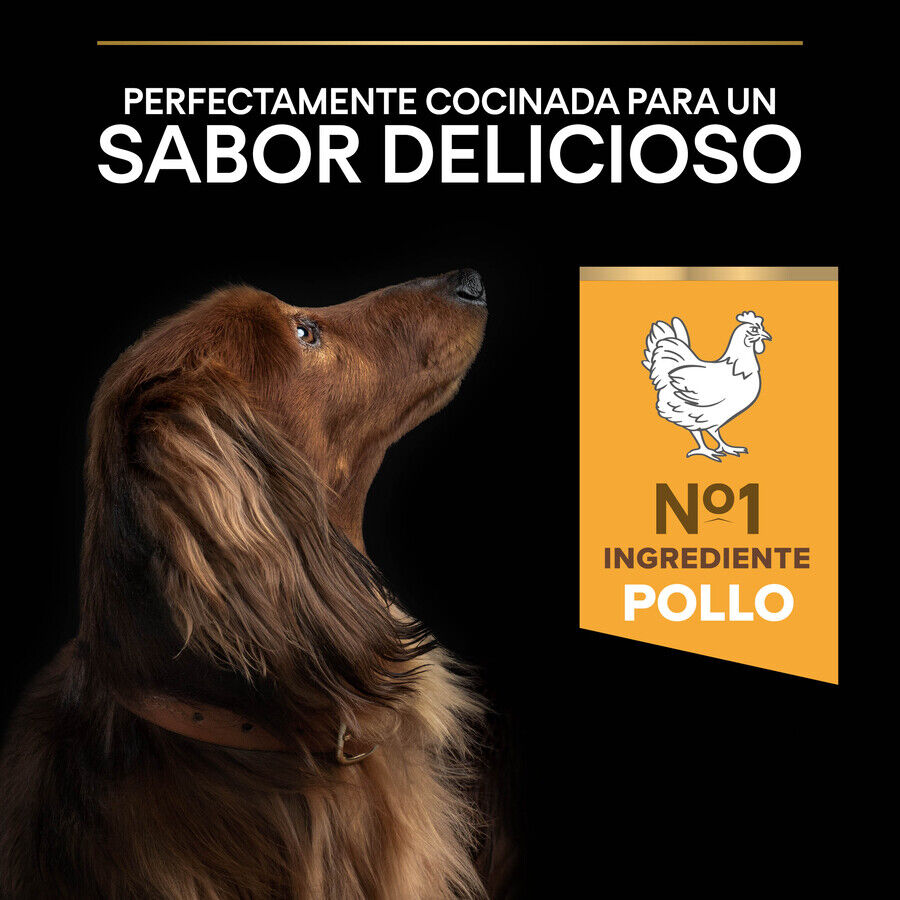 Pro Plan Small & Mini Adult Duo D&eacute;lice Pollo pienso para perros Imagem n&uacute;mero 7